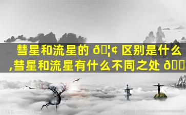 彗星和流星的 🦢 区别是什么,彗星和流星有什么不同之处 🐅